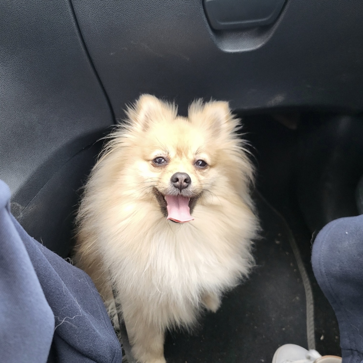 Foto de Nala