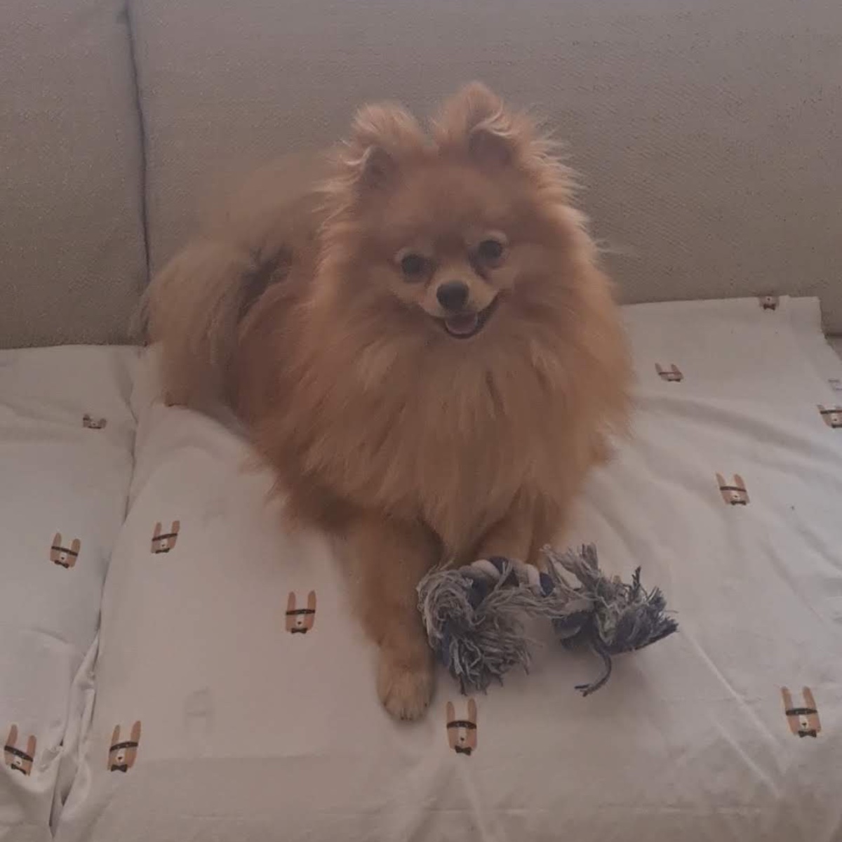 Foto de Sila