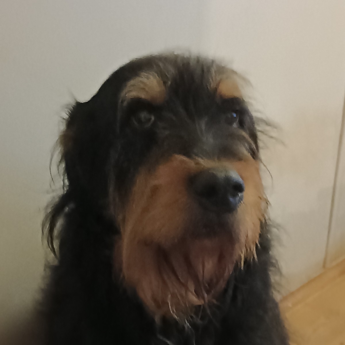 Foto de Bimba